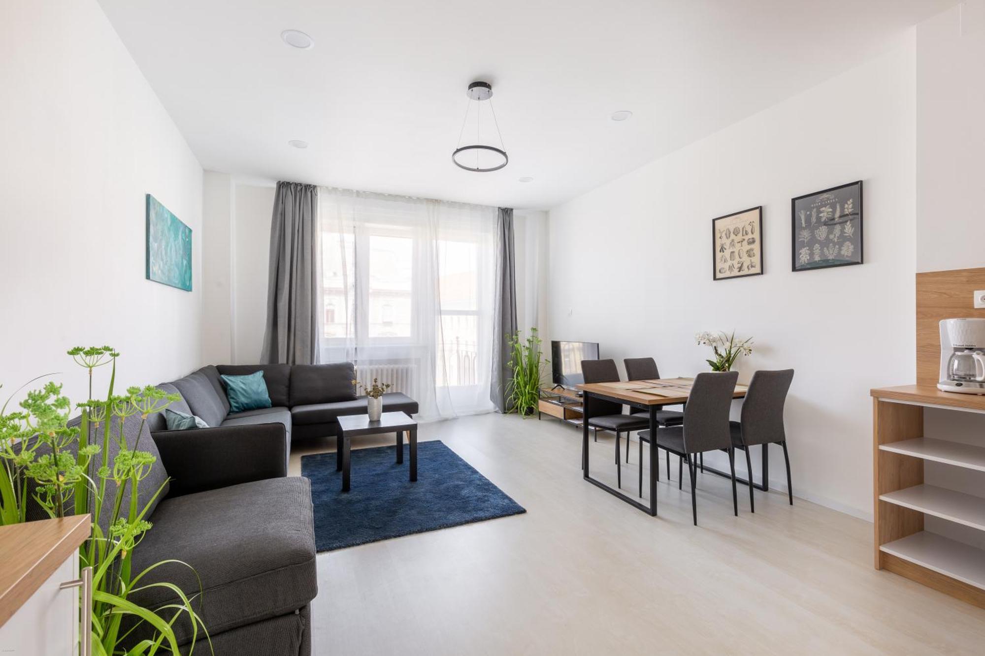 Gde Rakoczi 27 Apartmant Апартаменти Будапешт